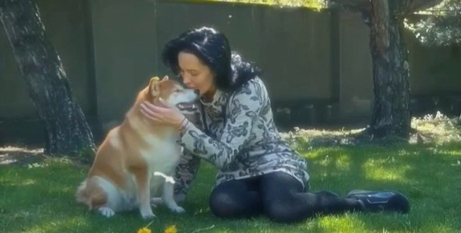 Даша Астафьева, собака, домашние животные