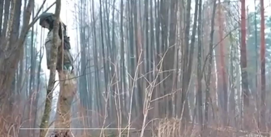 пограничники, военные из Беларуси, ситуация на границе, конфликт, Беларусь