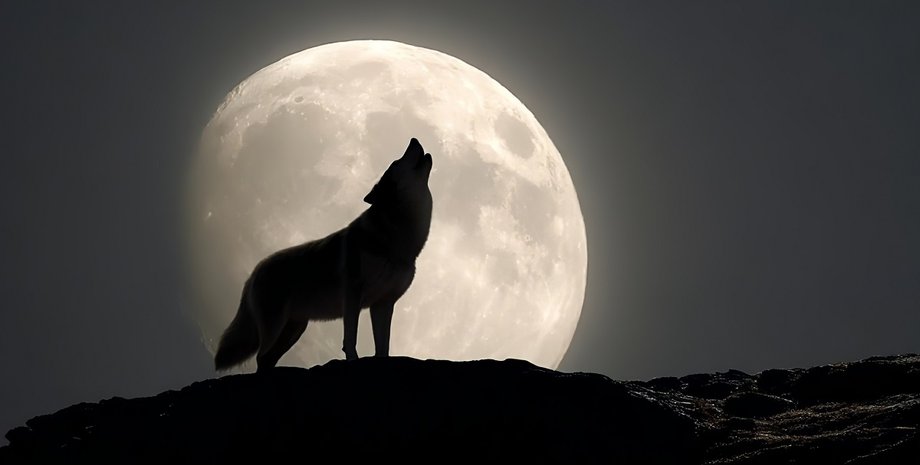 Волчья Луна