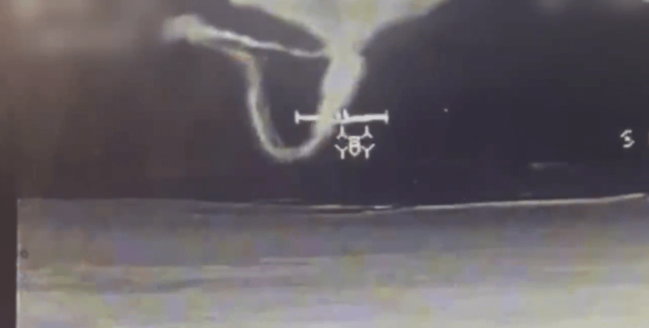 дрорн-перехватчик, дрон-перехватчик Sting, Sting, уничтожение шахеда, дрон сбил шахед, Дикие шершни