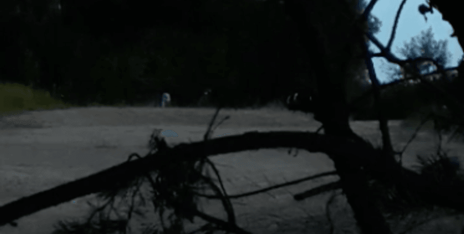 Беларусь, Литва, мигранты, обстрел