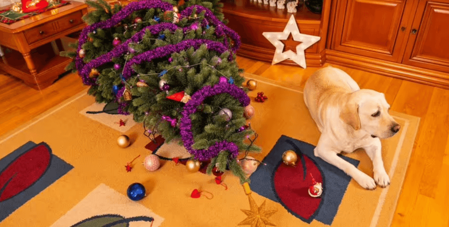 Собака, рождество, праздники, новый год