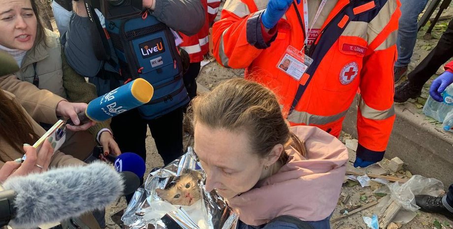 кіт філя київ, атака дронами, врятований кіт, київ кіт