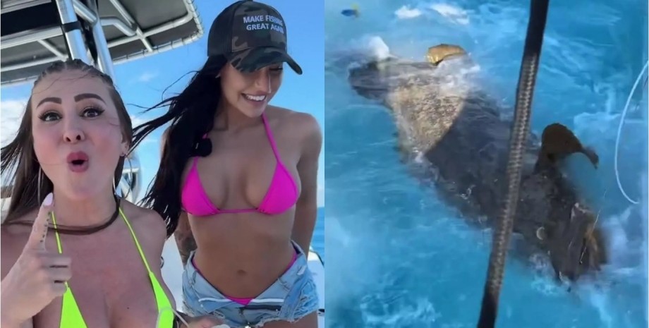 Модели поймали морское существо Модели поймали морское существо, Групер голиаф, модель Playboy, морское чудовище, может съесть акулу, модели в бикини