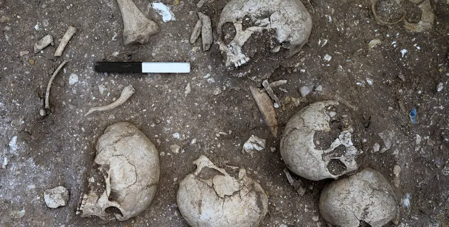 Археологи знайшли людські останки