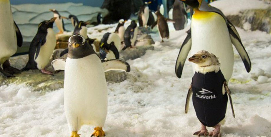 Фото: thesun.co.uk