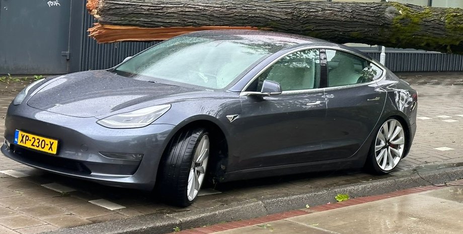 Tesla, Tesla Model 3, Непогода, Шторм, Дерево, Инцидент, Везение, Авто, Автомобили, Фото, Видео, Электромобили