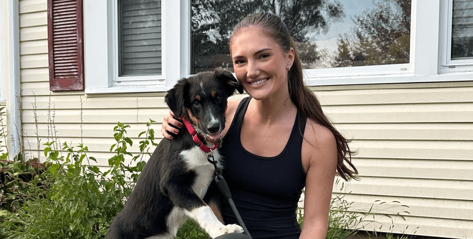 Собака перейняла звички кішок, цуценя, вирощене кішками, котячі звички, собака сидить на підвіконні, грає з котячими іграшками