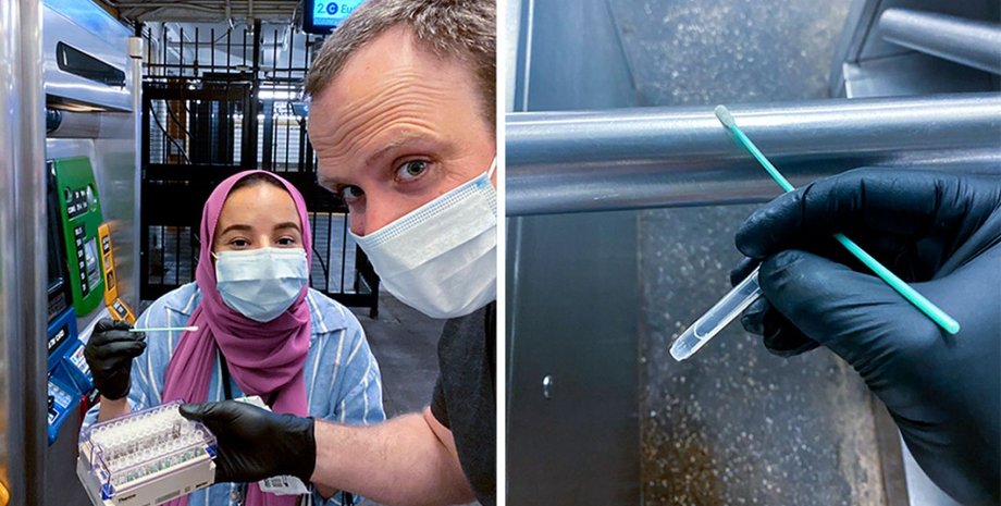 мазки, ученые, города, микроорганизмы, исследование