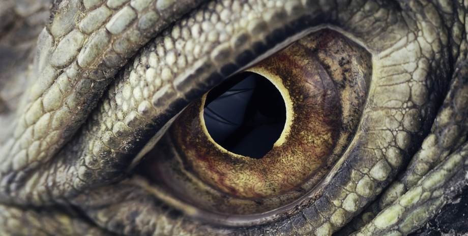 Жінка всюди бачила в обличчях людей драконів: таке траплялося лише 81 раз за 100 років0