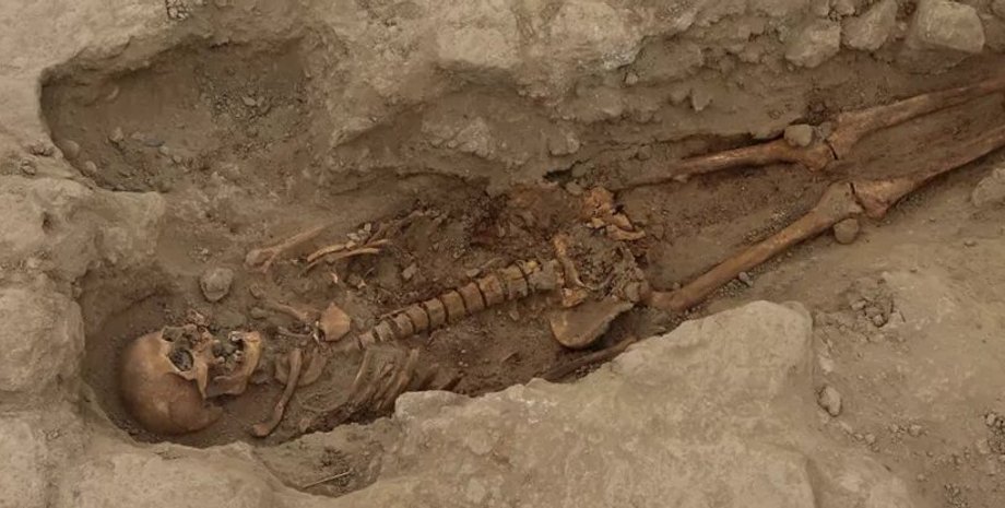 скелет, захоронение, фото