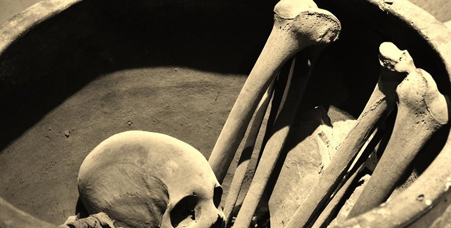 Фото: Claudio Longo on Flickr