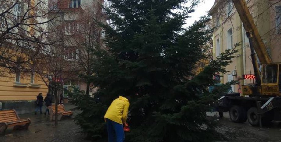 Фото: mukachevo.net