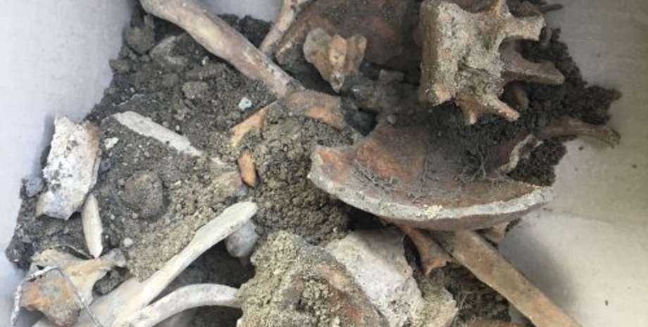 Фото: Владимир Заборовский via ZAXID.NET