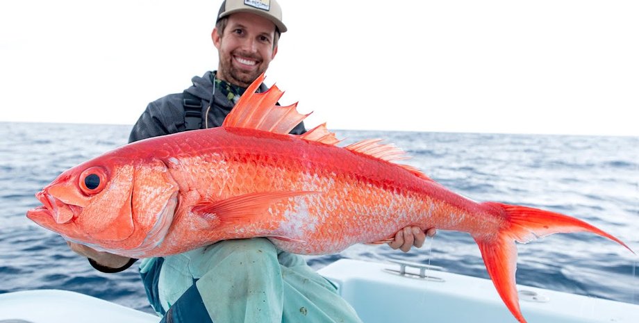 Королевский этелис, рабдомиолиз, отравление токсинами