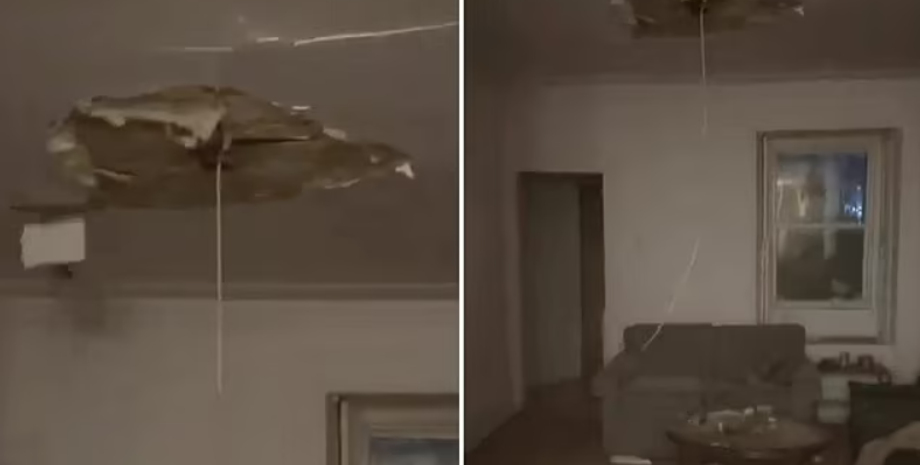 Конфлікт з сусідами, скандали з сусідами, вечірка, курйози, Канада, відео