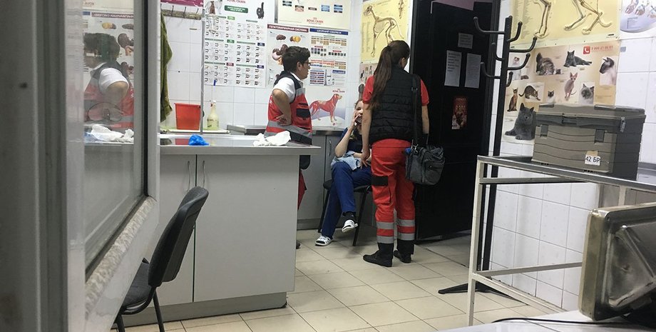 Нападение на ветклинику в Киеве/Фото: Информатор