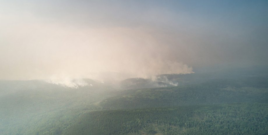 Фото: Greenpeace