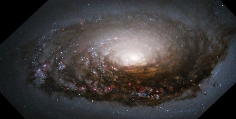 галактика М 64
