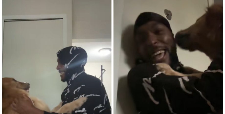 Чоловік вирушив на прогулянку і натрапив на загубленого собаку: це змінило їхні долі