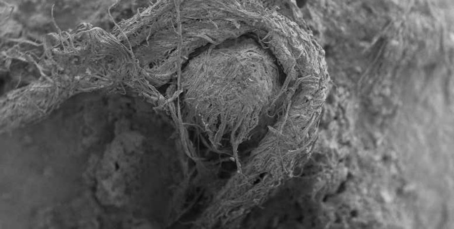 Фрагмент найденной нити. Фото: M-H Moncel