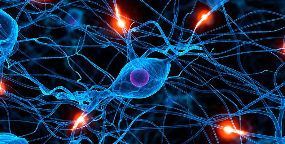 Фото: открытые источники