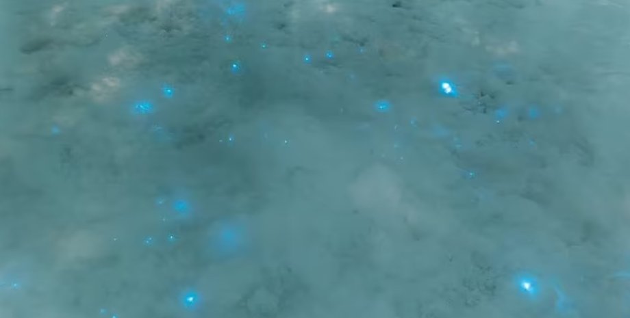 Світіння на снігу, вогники на снігу, біолюмінесценція