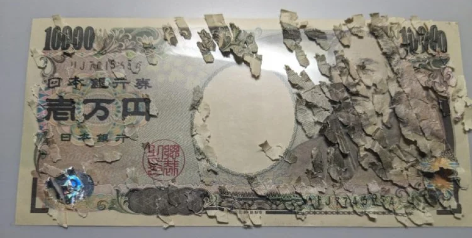 Деньги, купюра, 10000 иен, японские деньги, японский банк, кусочки бугами, собирал как пазл, уничтожитель бумаги