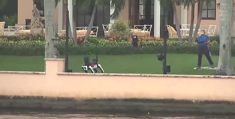 собака робот, дональд трамп, выборы в США, выборы 2024