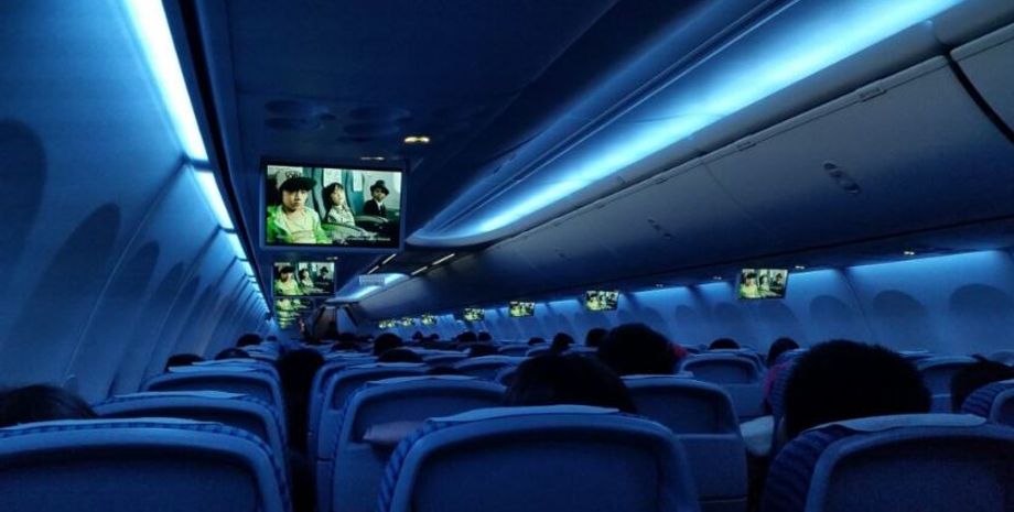 Мужчина удовлетворял себя в самолете, пассажиры в салоне авиалайнера, курьезы, смешные истории во время путешествий