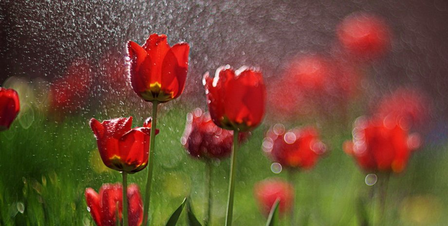 Фото: Владимир Мищик