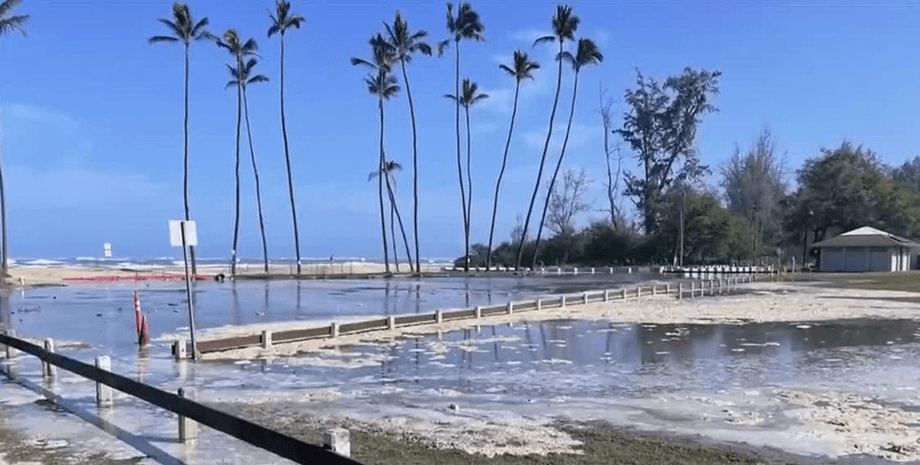 Затопленная прибрежная зона с пальмами на Гавайах, последствия повышения уровня моря и эрозии побережья