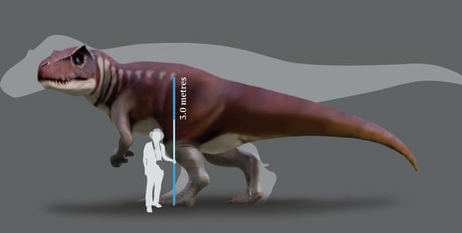 Фото:  Anthony Romilio