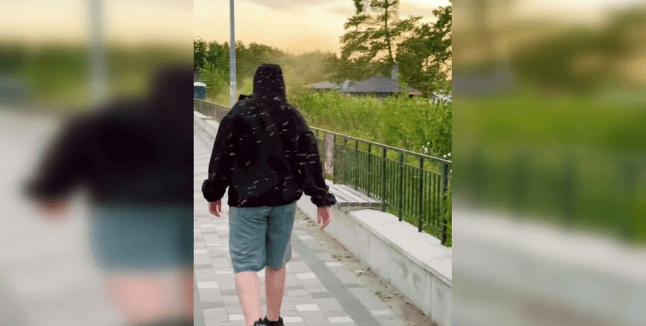 Нашествие насекомых на Свитязе