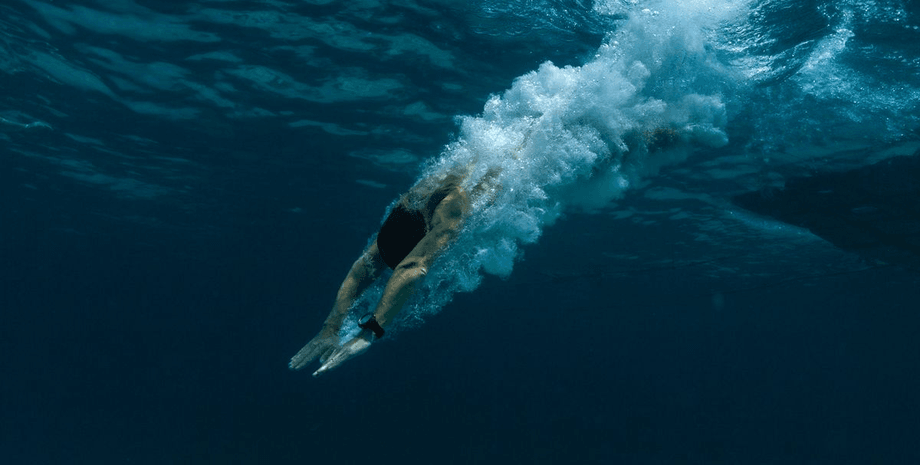 Турист стрибнув у воду, чоловік стрибнув у воду, баракуда, напала тварина, акула, курйози, соцмережі, почали кричати