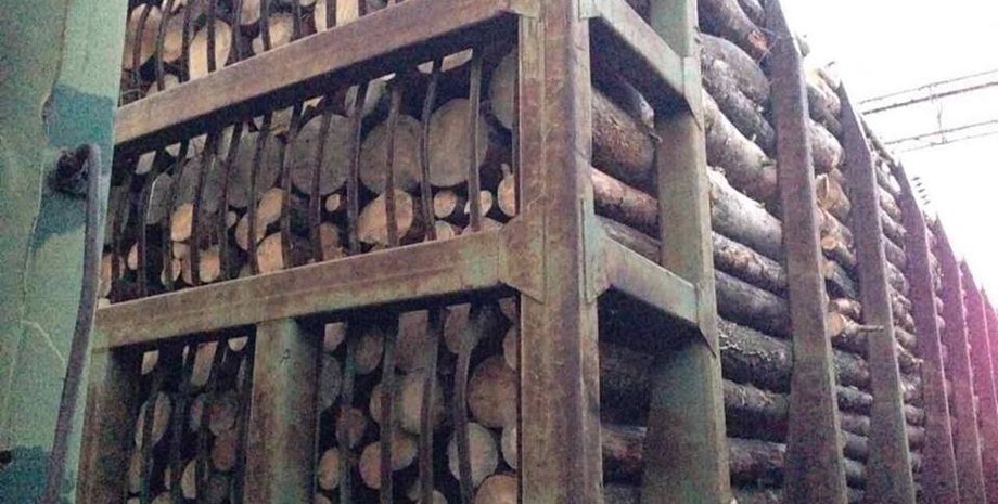 Контрабандный украинский лес / Фото: od.gp.gov.ua