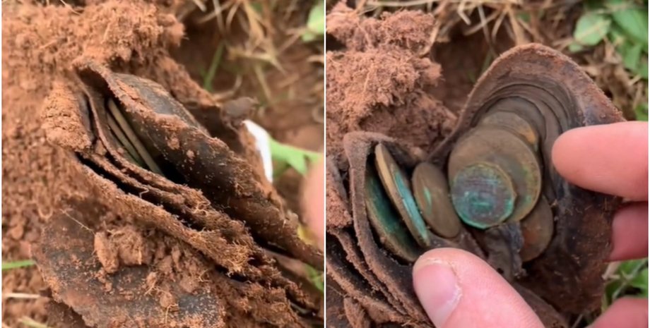 Рідкісні монети знайшов британець за допомогою металошукача, знахідки, артефакти, унікальні скарби