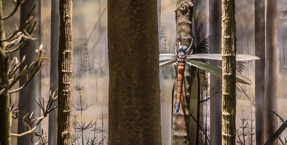 стародавня бабка, стародавній грифон, найбільша комаха