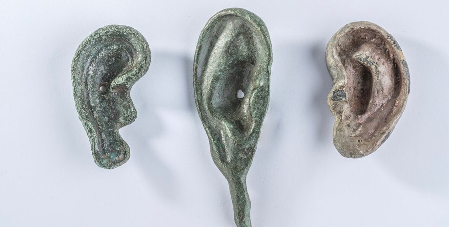 уши, белый фон, фото