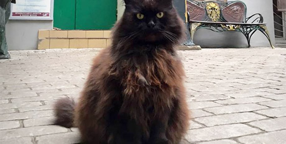 Фото: Интерфакс