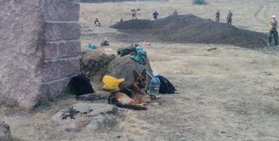 Раскопки в Днепропетровской области / Фото: Facebook