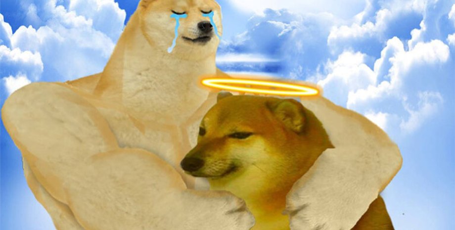 Кабосу, собака Доге, мем в интернете, курьезы, животные, смерть, домашние любимцы, фото