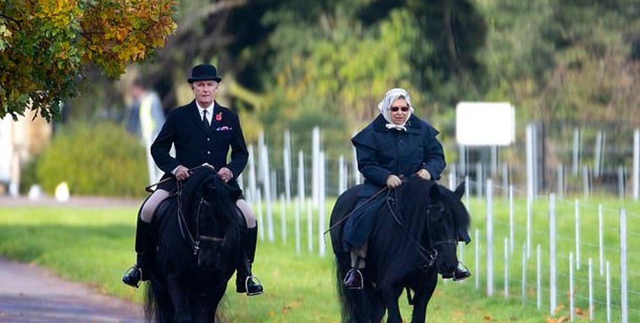 Фото: Kelvin Bruce