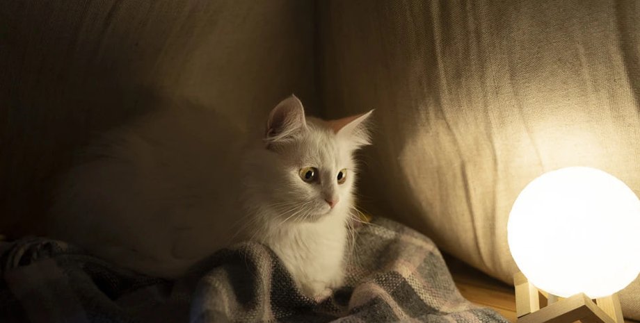 Графіки відключень на 14 листопада - коли в українців не буде світла Відключення світла