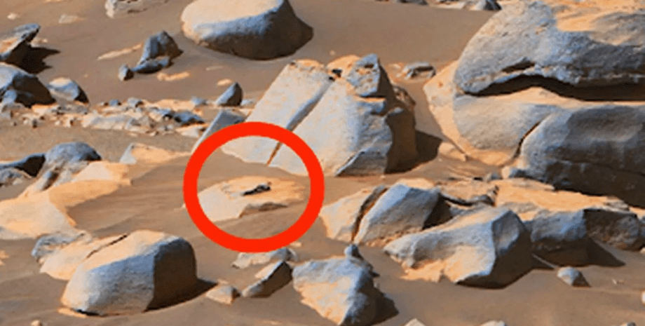 Жизнь на Марсе, пришелец, инопланетянин, Марс, красная планета, космос, внеземная жизнь, NASA, снимок NASA, знаток НЛО, НЛО,