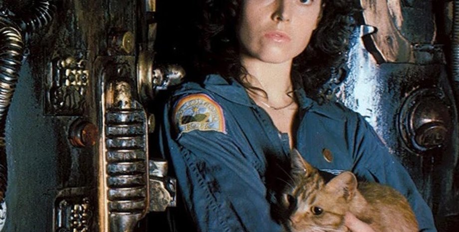 Фото: Скриншот