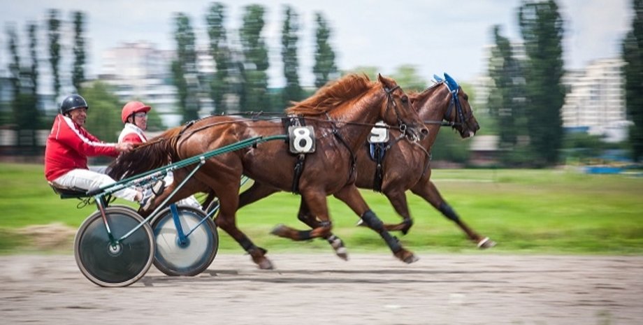 Фото: Пресс-служба КГГА