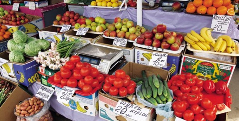 Дмитрий Стойков, Фокус