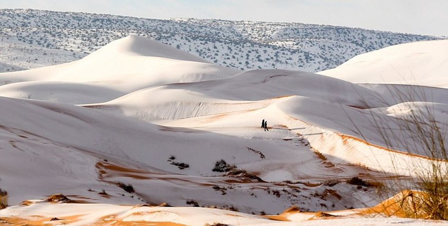Фото взято с сайта popmech.ru