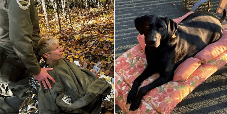 Собака спасла женщину, собака, животные, женщина потерялась в лесу, женщина с переохлаждением, супруги потерялись в походе